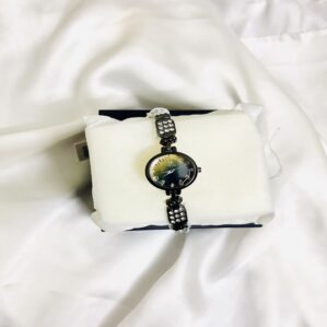 Stylish Luxury Women’s Black Watch