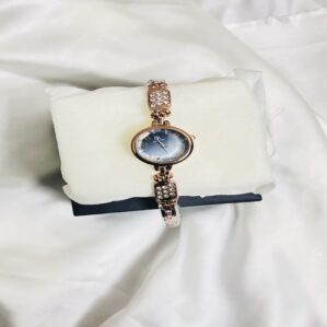 Luxury Women's Easy Reader Watch